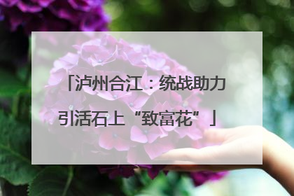 泸州合江：统战助力引活石上“致富花”