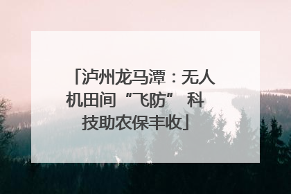 泸州龙马潭：无人机田间“飞防” 科技助农保丰收