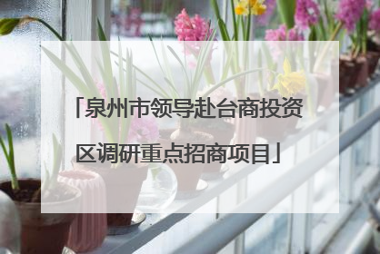 泉州市领导赴台商投资区调研重点招商项目