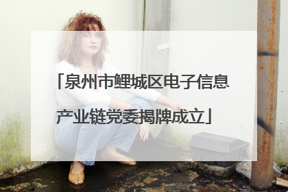 泉州市鲤城区电子信息产业链党委揭牌成立