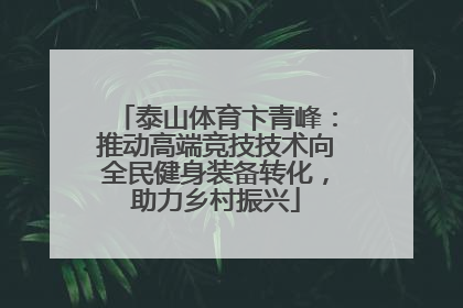 泰山体育卞青峰：推动高端竞技技术向全民健身装备转化，助力乡村振兴