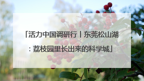 活力中国调研行丨东莞松山湖：荔枝园里长出来的科学城
