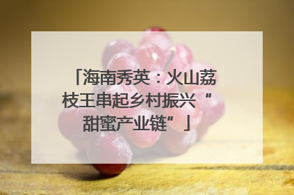 海南秀英：火山荔枝王串起乡村振兴“甜蜜产业链”