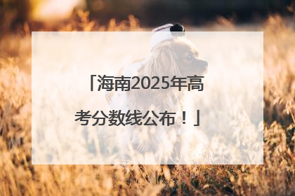 海南2025年高考分数线公布！