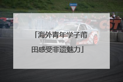 海外青年学子莆田感受非遗魅力