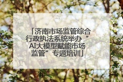济南市场监管综合行政执法系统举办“AI大模型赋能市场监管”专题培训