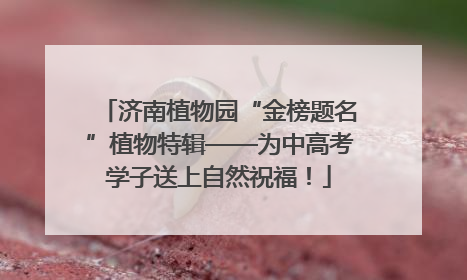 济南植物园“金榜题名”植物特辑——为中高考学子送上自然祝福！