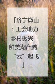 济宁微山：工会助力乡村振兴 鲜美湖产腾“云”起飞