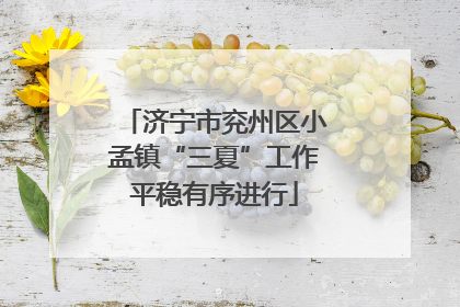 济宁市兖州区小孟镇“三夏”工作平稳有序进行