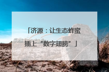 济源：让生态蜂蜜插上“数字翅膀”