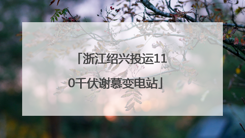浙江绍兴投运110千伏谢慕变电站