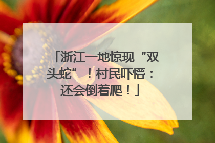 浙江一地惊现“双头蛇”！村民吓懵：还会倒着爬！