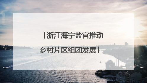 浙江海宁盐官推动乡村片区组团发展