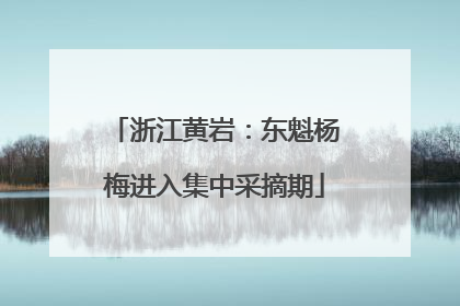 浙江黄岩：东魁杨梅进入集中采摘期
