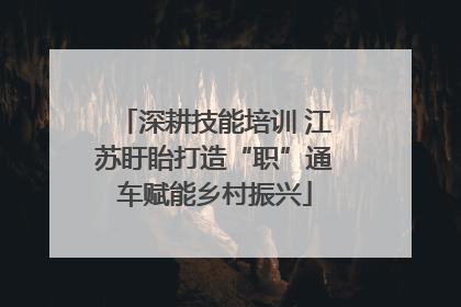 深耕技能培训 江苏盱眙打造“职”通车赋能乡村振兴