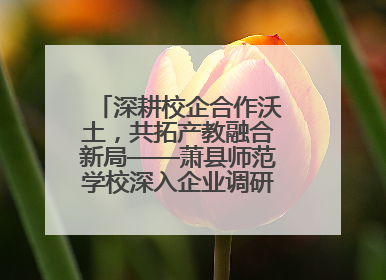 深耕校企合作沃土，共拓产教融合新局——萧县师范学校深入企业调研推动协同发展