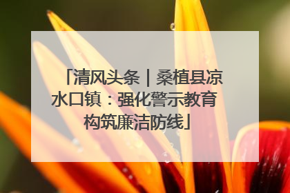 清风头条｜桑植县凉水口镇：强化警示教育 构筑廉洁防线