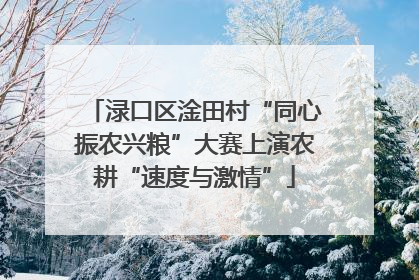 渌口区淦田村“同心振农兴粮”大赛上演农耕“速度与激情”