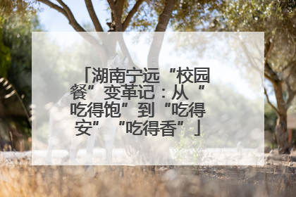 湖南宁远“校园餐”变革记：从“吃得饱”到“吃得安”“吃得香”