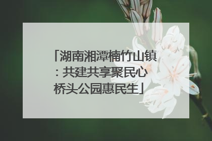 湖南湘潭楠竹山镇：共建共享聚民心 桥头公园惠民生