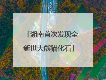 湖南首次发现全新世大熊猫化石