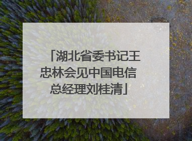 湖北省委书记王忠林会见中国电信总经理刘桂清