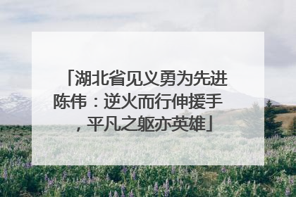 湖北省见义勇为先进陈伟：逆火而行伸援手，平凡之躯亦英雄
