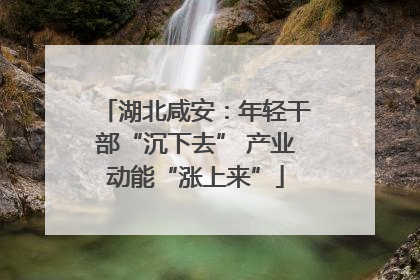 湖北咸安：年轻干部“沉下去” 产业动能“涨上来”