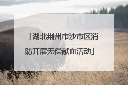 湖北荆州市沙市区消防开展无偿献血活动