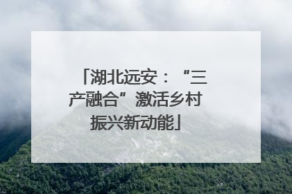 湖北远安：“三产融合”激活乡村振兴新动能