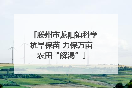 滕州市龙阳镇科学抗旱保苗 力保万亩农田“解渴”