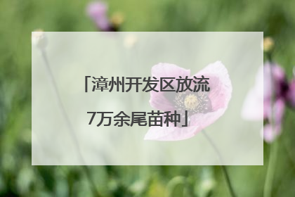 漳州开发区放流7万余尾苗种