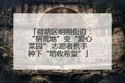 荷塘区明照街道：“撂荒地”变“爱心菜园” 志愿者携手种下“增收希望”