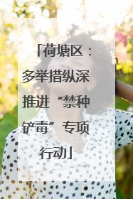 荷塘区：多举措纵深推进“禁种铲毒”专项行动