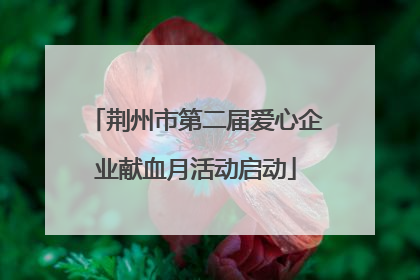 荆州市第二届爱心企业献血月活动启动
