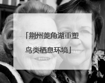 荆州菱角湖重塑鸟类栖息环境