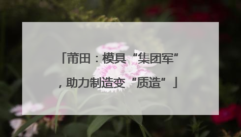 莆田：模具“集团军”，助力制造变“质造”