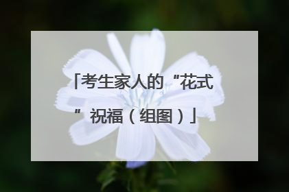 考生家人的“花式”祝福（组图）