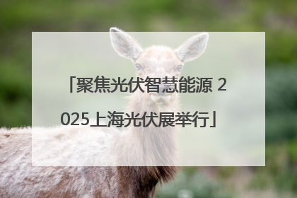 聚焦光伏智慧能源 2025上海光伏展举行