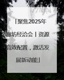 聚焦2025年廊坊经洽会丨资源高效配置，激活发展新动能
