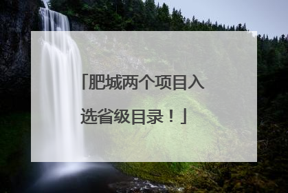 肥城两个项目入选省级目录！