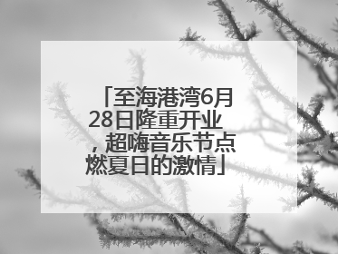 至海港湾6月28日隆重开业，超嗨音乐节点燃夏日的激情