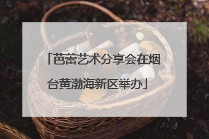 芭蕾艺术分享会在烟台黄渤海新区举办