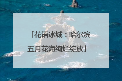 花语冰城：哈尔滨五月花海绚烂绽放