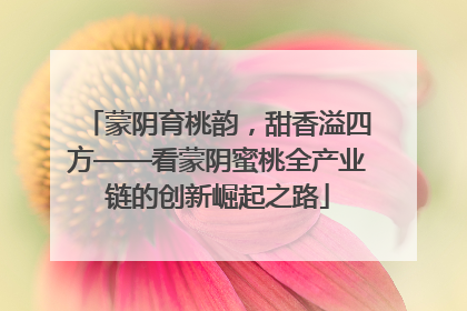 蒙阴育桃韵，甜香溢四方——看蒙阴蜜桃全产业链的创新崛起之路