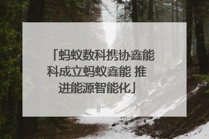 蚂蚁数科携协鑫能科成立蚂蚁鑫能 推进能源智能化