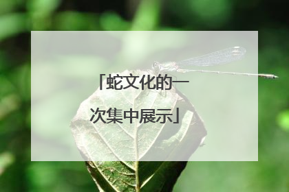 蛇文化的一次集中展示