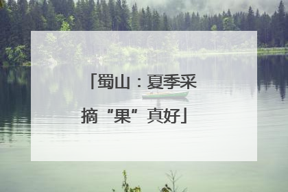 蜀山：夏季采摘“果”真好