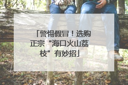 警惕假冒！选购正宗“海口火山荔枝”有妙招