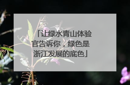 让绿水青山体验官告诉你，绿色是浙江发展的底色